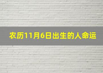 农历11月6日出生的人命运