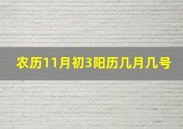 农历11月初3阳历几月几号