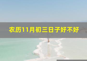 农历11月初三日子好不好