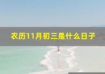 农历11月初三是什么日子