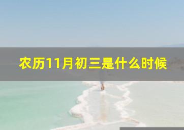 农历11月初三是什么时候