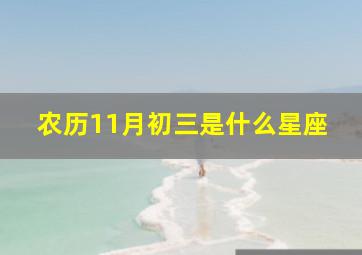 农历11月初三是什么星座