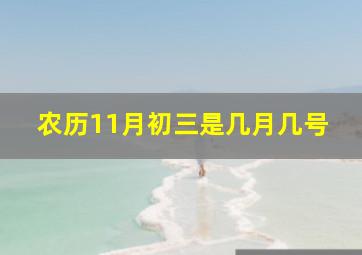 农历11月初三是几月几号