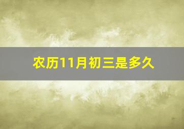 农历11月初三是多久