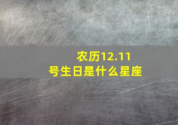 农历12.11号生日是什么星座