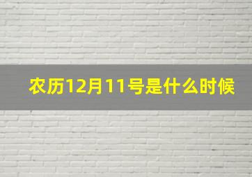 农历12月11号是什么时候