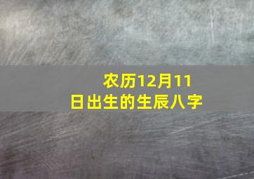 农历12月11日出生的生辰八字