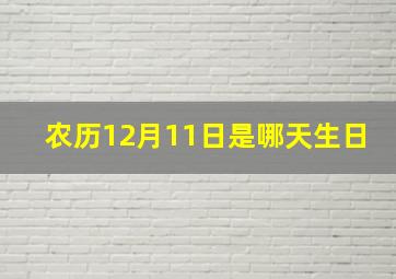 农历12月11日是哪天生日