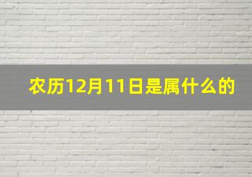 农历12月11日是属什么的