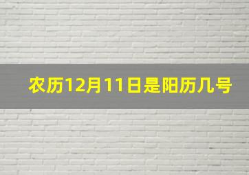 农历12月11日是阳历几号