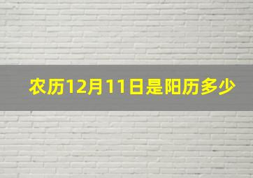 农历12月11日是阳历多少