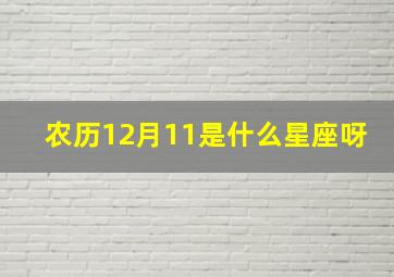 农历12月11是什么星座呀