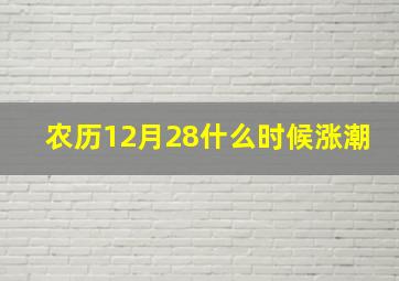 农历12月28什么时候涨潮