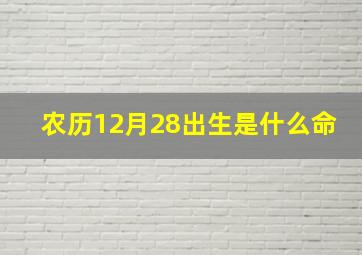 农历12月28出生是什么命