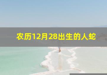 农历12月28出生的人蛇