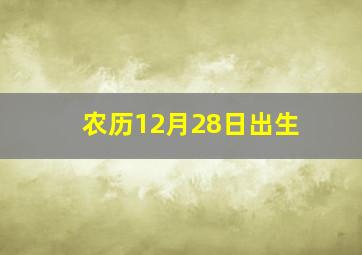 农历12月28日出生