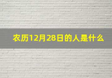 农历12月28日的人是什么