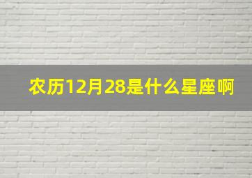 农历12月28是什么星座啊