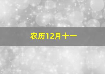 农历12月十一