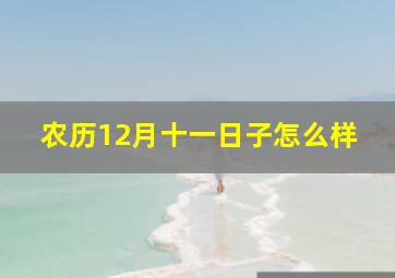 农历12月十一日子怎么样