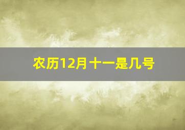 农历12月十一是几号