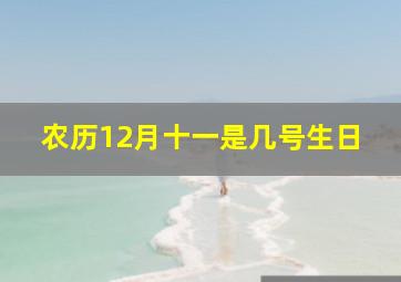 农历12月十一是几号生日