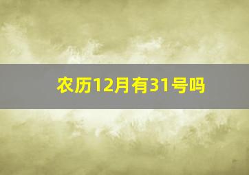 农历12月有31号吗