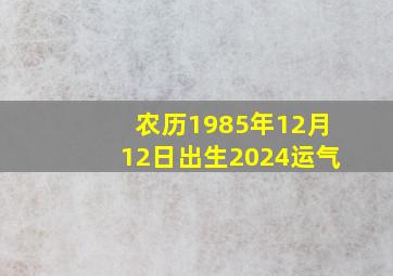 农历1985年12月12日出生2024运气