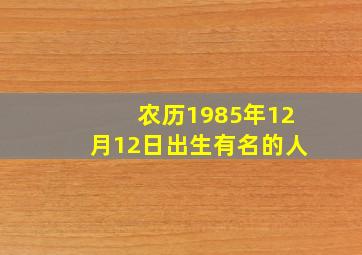 农历1985年12月12日出生有名的人