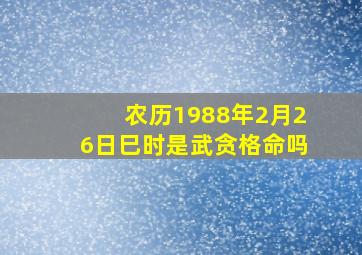 农历1988年2月26日巳时是武贪格命吗