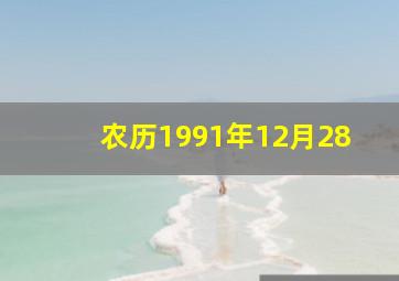 农历1991年12月28