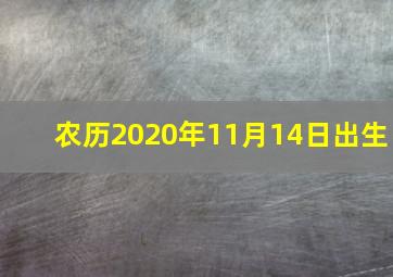 农历2020年11月14日出生