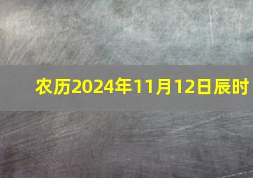 农历2024年11月12日辰时