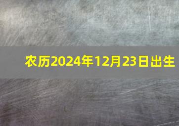 农历2024年12月23日出生