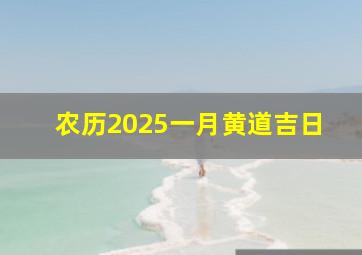 农历2025一月黄道吉日