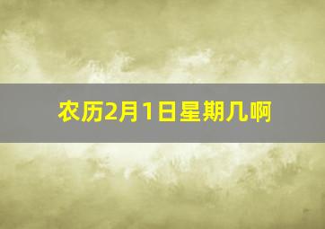 农历2月1日星期几啊