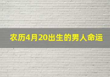 农历4月20出生的男人命运