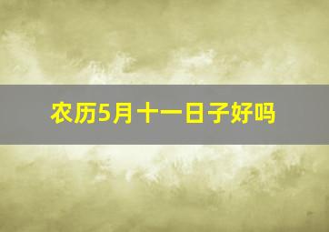 农历5月十一日子好吗