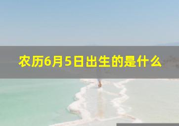 农历6月5日出生的是什么