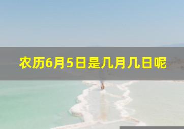 农历6月5日是几月几日呢