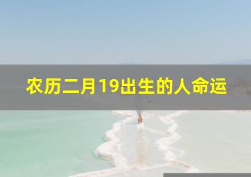 农历二月19出生的人命运