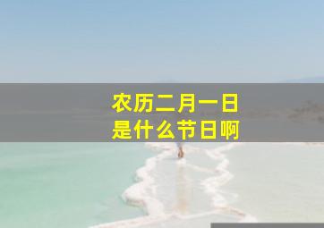 农历二月一日是什么节日啊