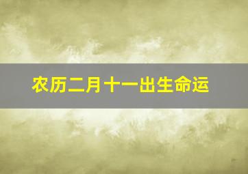 农历二月十一出生命运