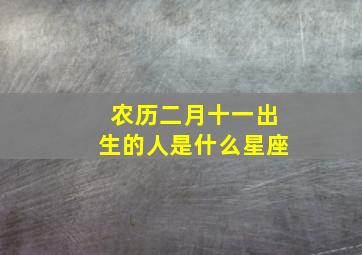 农历二月十一出生的人是什么星座