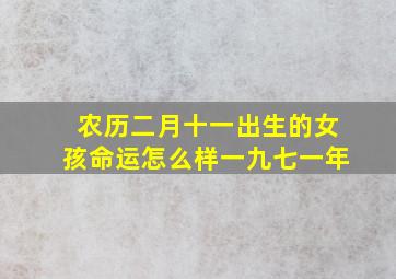 农历二月十一出生的女孩命运怎么样一九七一年