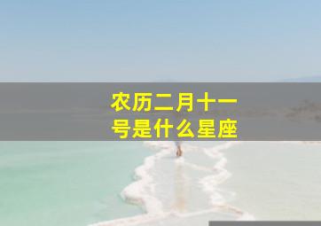 农历二月十一号是什么星座