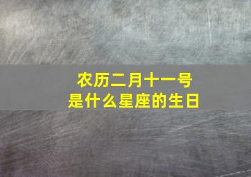 农历二月十一号是什么星座的生日