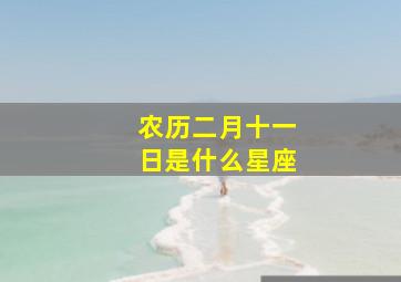 农历二月十一日是什么星座