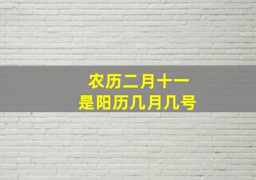 农历二月十一是阳历几月几号