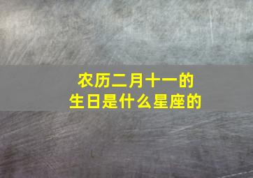 农历二月十一的生日是什么星座的